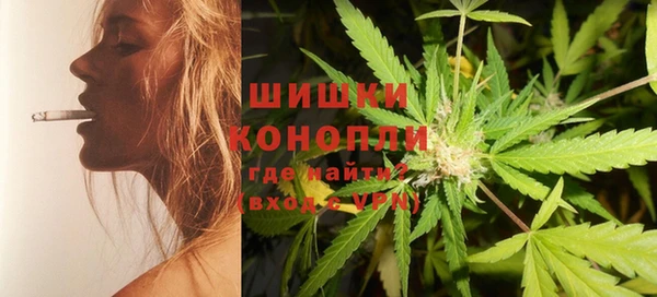 ПСИЛОЦИБИНОВЫЕ ГРИБЫ Верхний Тагил
