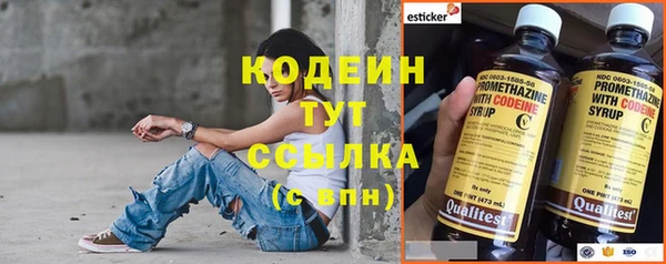 ПСИЛОЦИБИНОВЫЕ ГРИБЫ Верхний Тагил