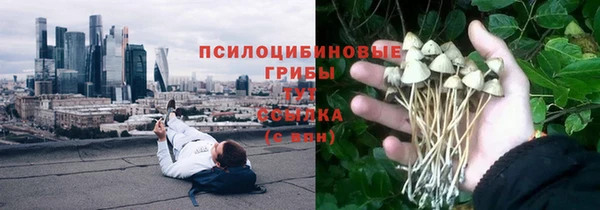 ПСИЛОЦИБИНОВЫЕ ГРИБЫ Верхний Тагил