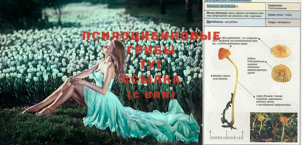 герыч Бородино