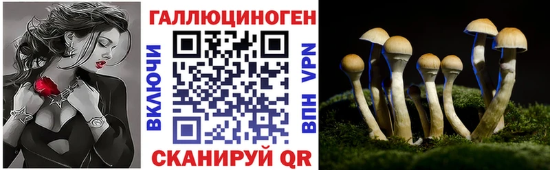Псилоцибиновые грибы MAGIC MUSHROOMS  Енисейск 