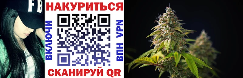 где купить наркотик  Енисейск  Каннабис семена 